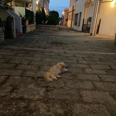 Club Esse Capo D'orso Lejlighedshotel 3*