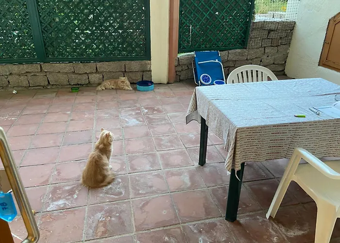 Lejlighedshotel Club Esse Capo D'orso